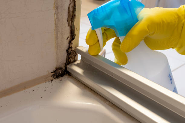 Best Residential Mold Removal  in Franklin, OH