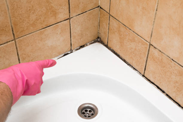 Best Office Mold Removal Services  in Franklin, OH